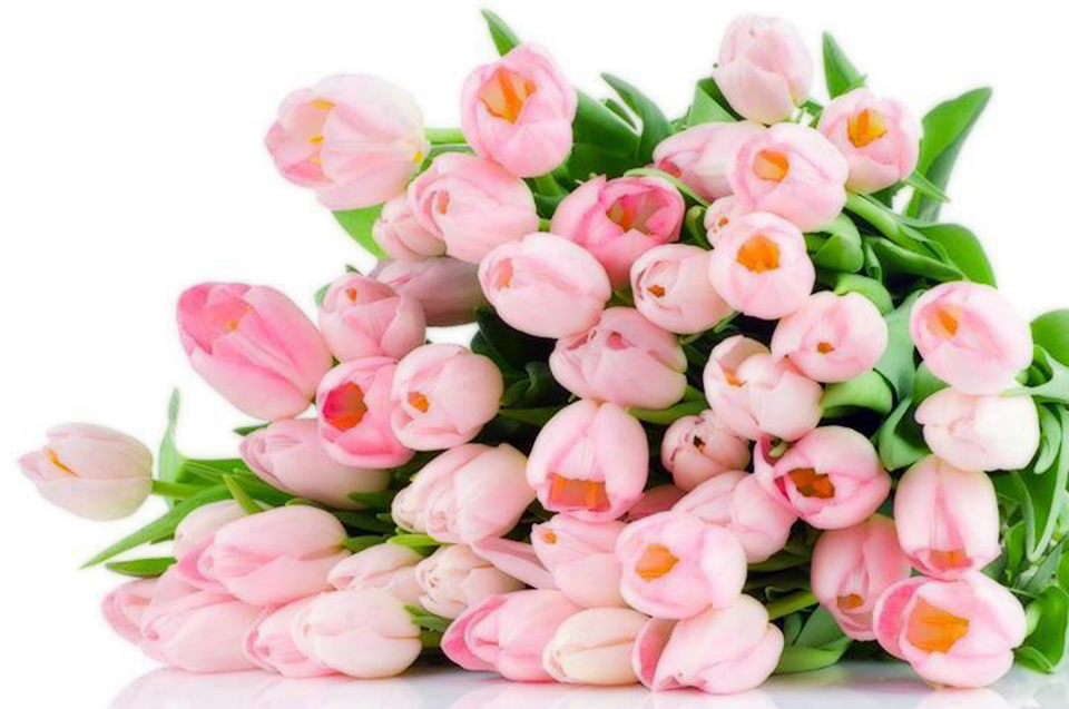 flowers_pink_tulips_bouquet-0208